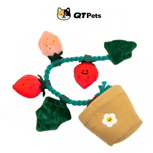 QT Pets Strawberry Potted Squeaker Puzzle Dog Toy