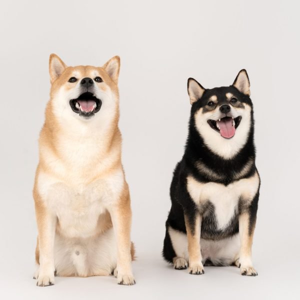 图片_20251220145855_3201_64